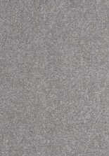 Fairfield Supreme 860 Granite carpet by Lano