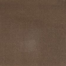 Richelieu Velours 9519 carpet by Louis De Poortere