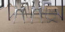 Cassius Acacia 34 carpet by Invictus