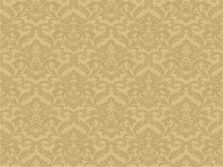 Cathedral Range Aidan Damask Gold carpet by Hugh Mackay