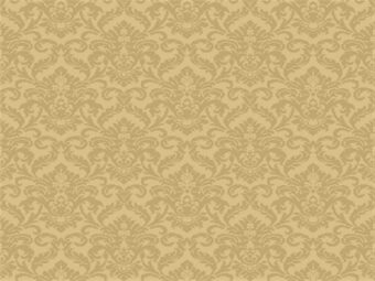 Cathedral Range Aidan Damask Gold carpet by Hugh Mackay