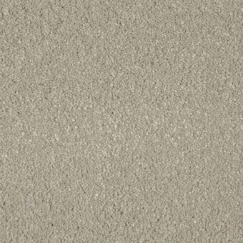Sensation Original Ammonite carpet by Cormar Carpets