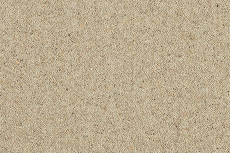 Grange Wilton Angora carpet by Ulster Carpets