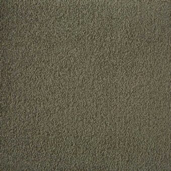 Silken Velvet Collection Aniseed carpet by Westex