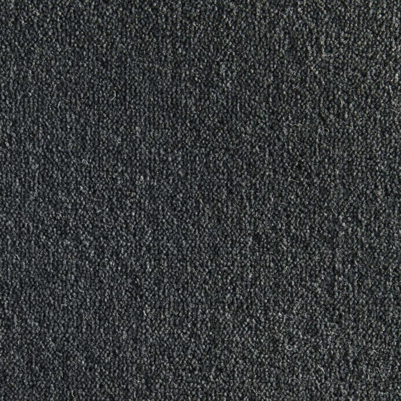 Ultima Twist Collection Anthracite carpet by Westex