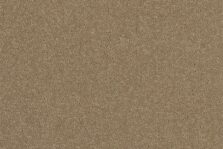 Grange Wilton Appleby carpet by Ulster Carpets