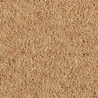 Carlton Arrowroot carpet by Penthouse Carpets