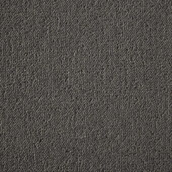 Ultima Twist Collection Ash carpet by Westex