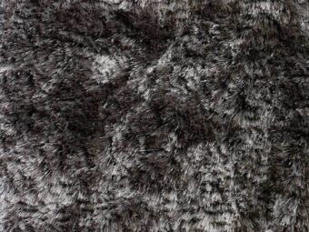 Campeone Collection Singapore Ash carpet by ITC