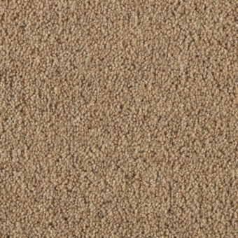 Vermont Aspen carpet by Penthouse Carpets