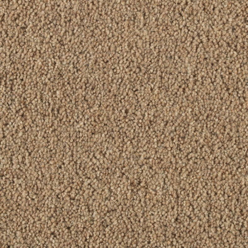 Vermont Aspen carpet by Penthouse Carpets