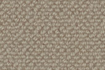 Open Spaces Auckland Auckland Driftwood carpet by Ulster Carpets