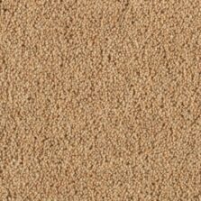 Vermont Austin carpet by Penthouse Carpets