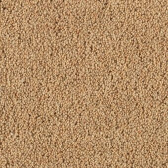 Vermont Austin carpet by Penthouse Carpets