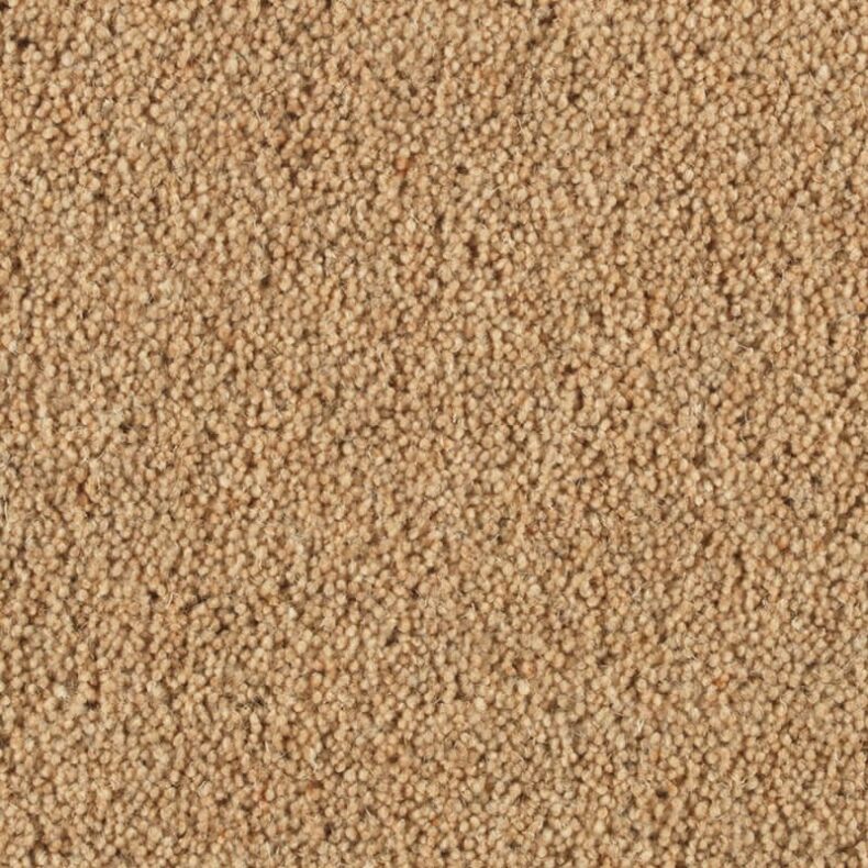 Vermont Austin carpet by Penthouse Carpets