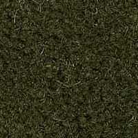 Westend Velvet Collection Avacado carpet by Westex