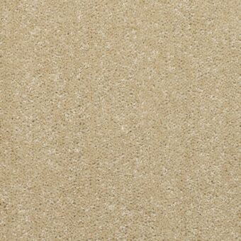Dimensions Plain Barley carpet by Brockway Carpets