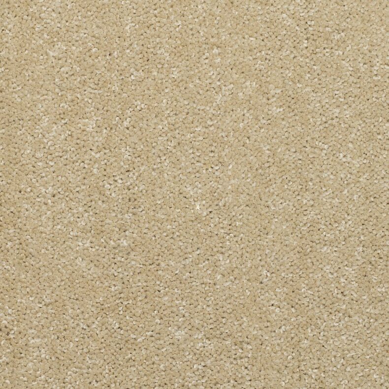 Dimensions Plain Barley carpet by Brockway Carpets