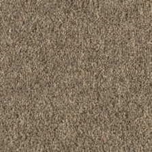 Shoreline Barnacle carpet by Penthouse Carpets