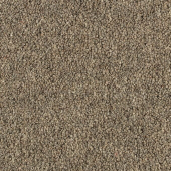 Shoreline Barnacle carpet by Penthouse Carpets