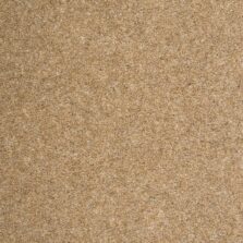 Quartz Basalt carpet by Penthouse Carpets