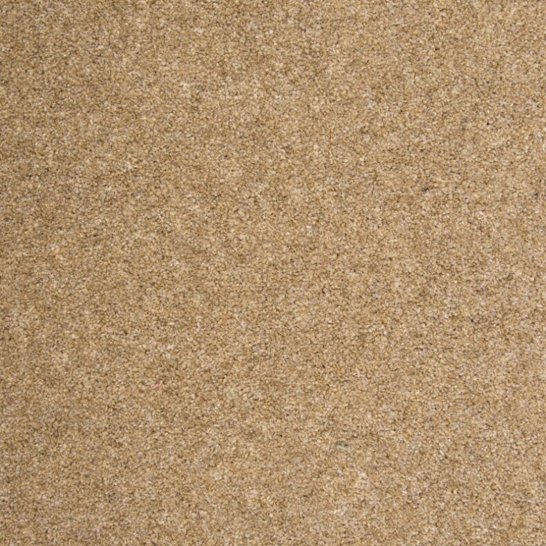 Quartz Basalt carpet by Penthouse Carpets