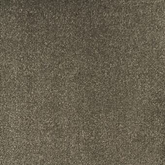 Scenario Bay Leaf carpet by Elements London