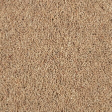 Shoreline Beach carpet by Penthouse Carpets