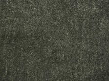 Campeone Collection Gloss Beetle carpet by ITC