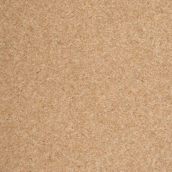 Quartz Beryl carpet by Penthouse Carpets