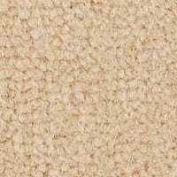 Westend Velvet Collection Bisque carpet by Westex