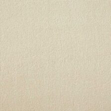 Silken Velvet Collection Blonde carpet by Westex