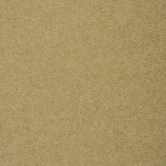 Colorado Brookside carpet by Penthouse Carpets