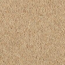 Vermont Brunswick carpet by Penthouse Carpets