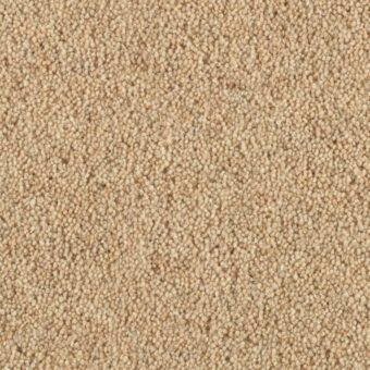 Vermont Brunswick carpet by Penthouse Carpets