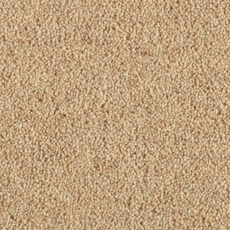 Vermont Brunswick carpet by Penthouse Carpets