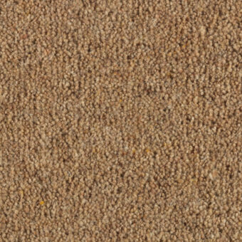 Super Maxim Bulrush carpet by Penthouse Carpets