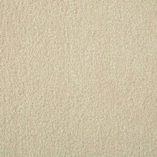 Silken Velvet Collection Buttermilk carpet by Westex