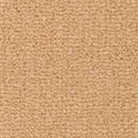 Westend Velvet Collection Butternut carpet by Westex