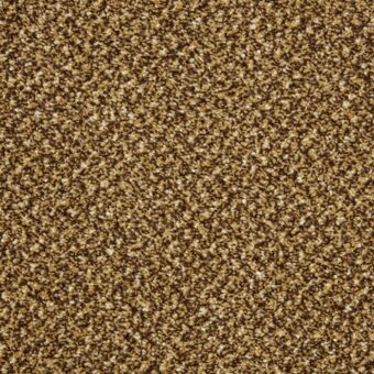 Primo Tweeds Butterscotch carpet by Cormar Carpets