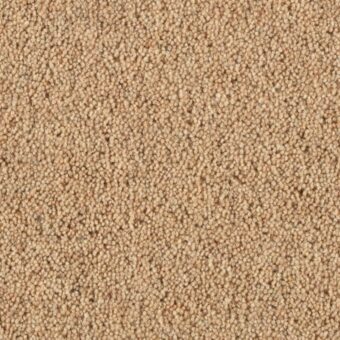 Pentwist Calico carpet by Penthouse Carpets