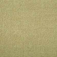 Silken Velvet Collection Camel carpet by Westex