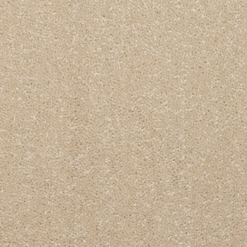 Dimensions Plain Cameo carpet by Brockway Carpets