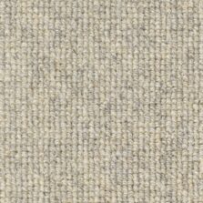 Rare Breeds Loop Canvas carpet by Brockway Carpets