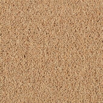Pentwist Canvas carpet by Penthouse Carpets