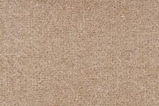 Ulster Velvet Canvas carpet by Ulster Carpets