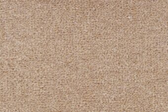 Ulster Velvet Canvas carpet by Ulster Carpets