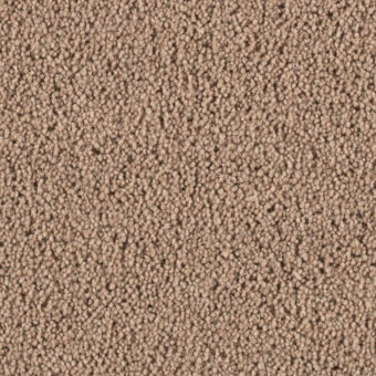 Pentwist Cappuccino carpet by Penthouse Carpets