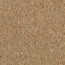 Vermont Carson carpet by Penthouse Carpets