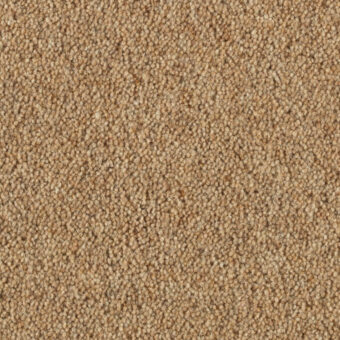 Vermont Carson carpet by Penthouse Carpets